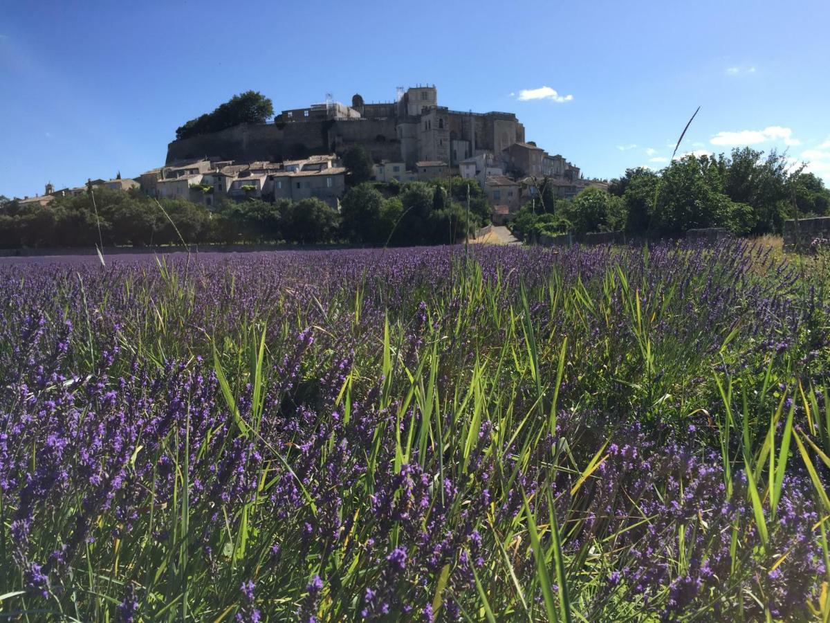 La Vie De Chateau Grignan Exteriér fotografie
